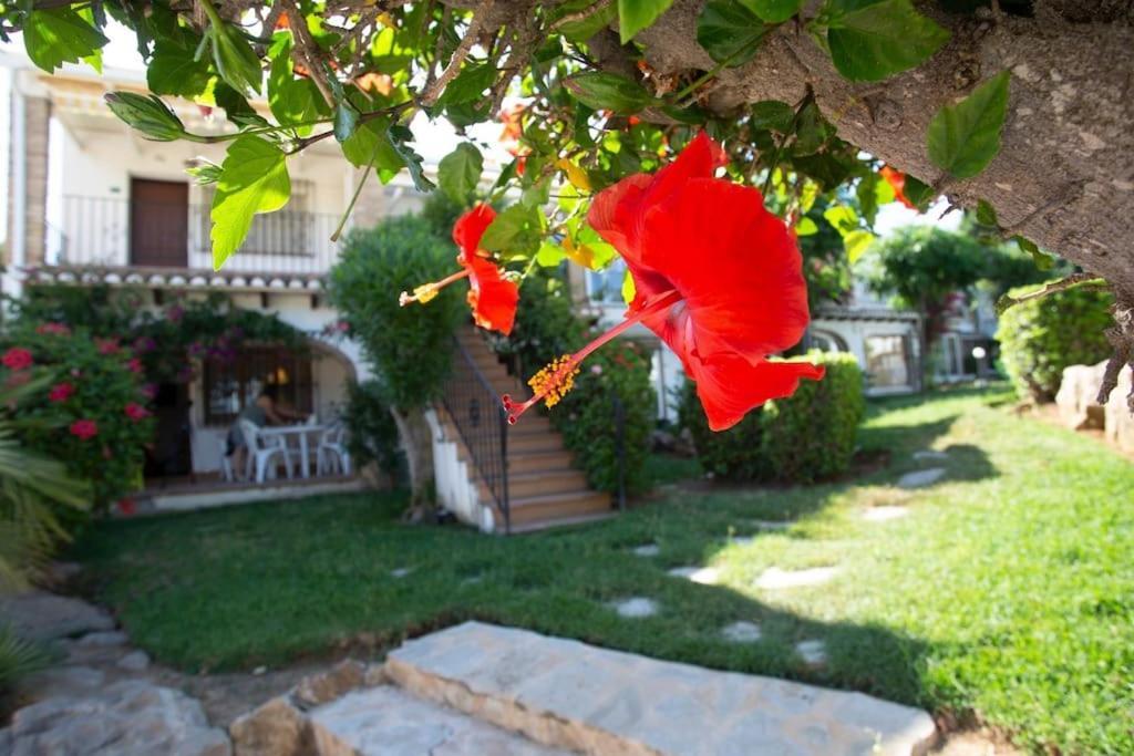 Casa En Denia Con Piscina Y Jardin Apartment Exterior foto
